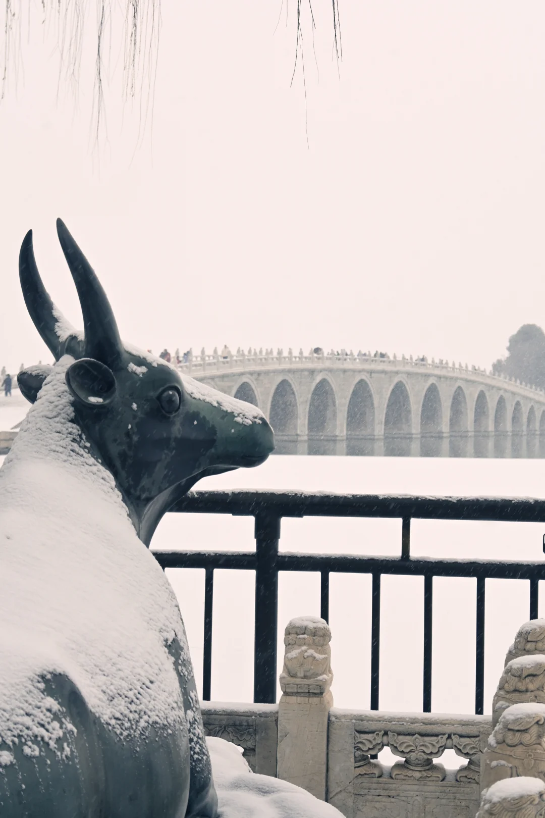 古法过冬丨上下一白