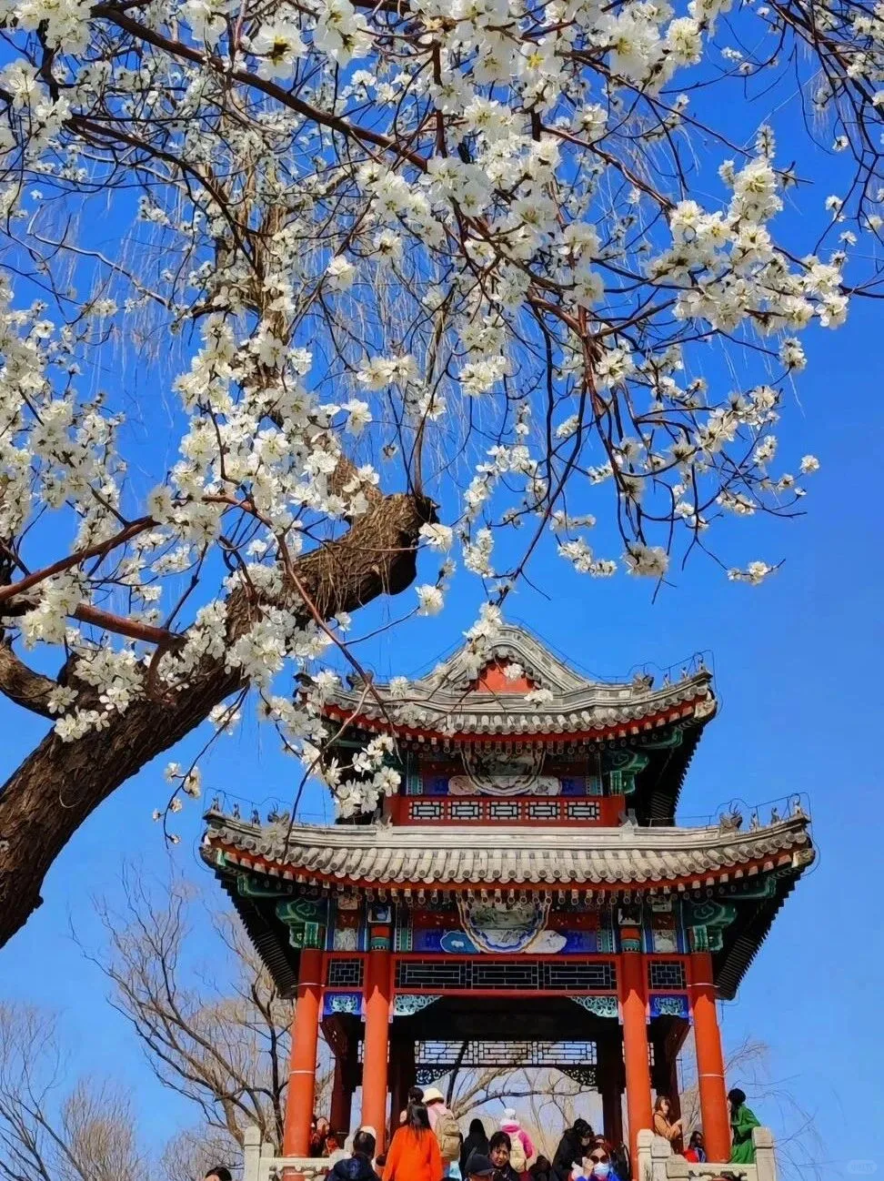 北京旅游，国人一生必去游！