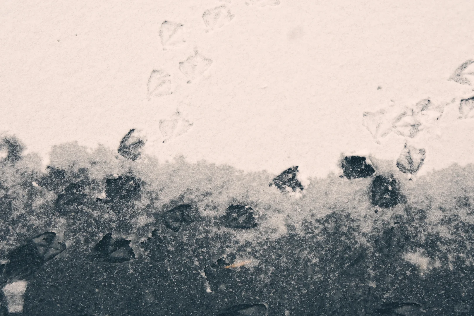 古法过冬丨上下一白