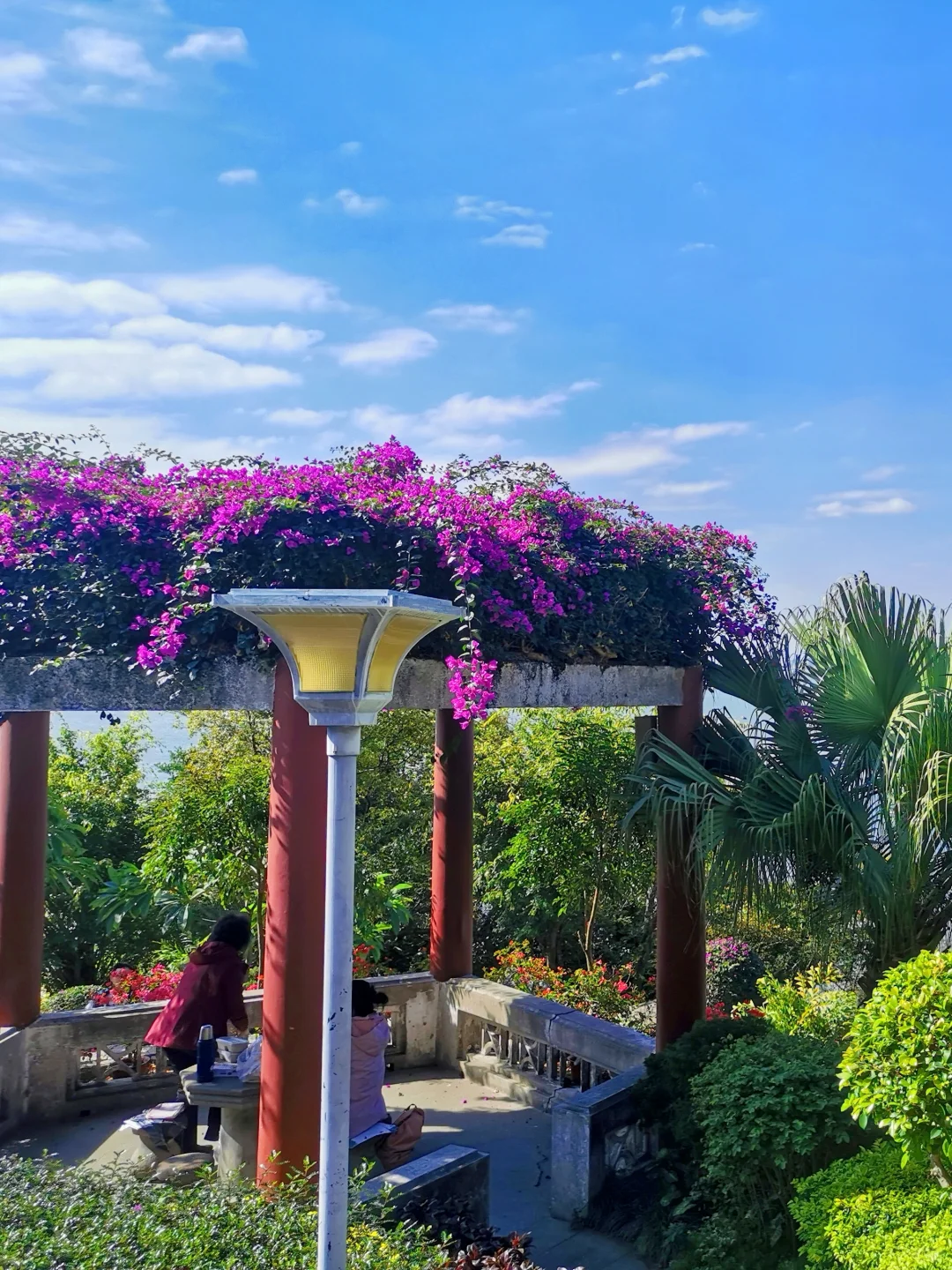 📍鼓浪屿的浪漫，花与海各占一半