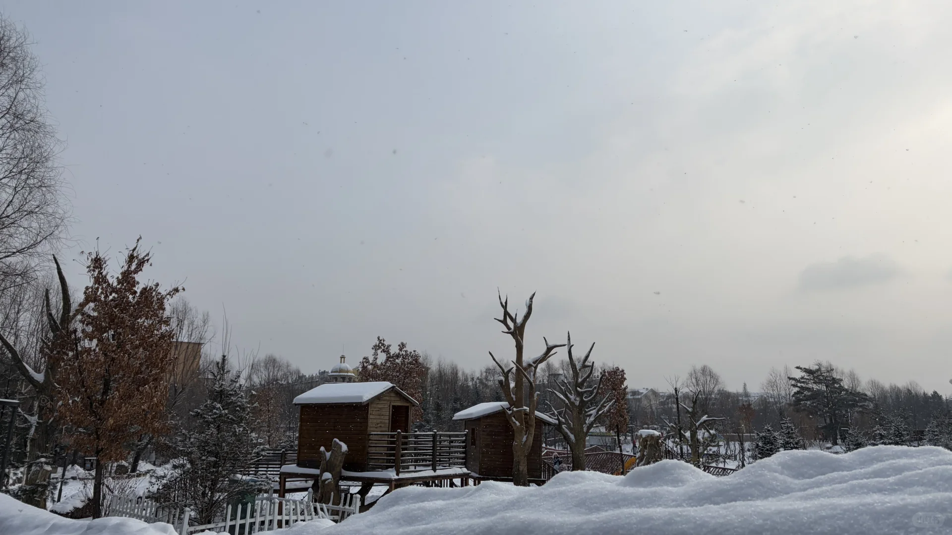 下个冬天，东北见！❄️❄️