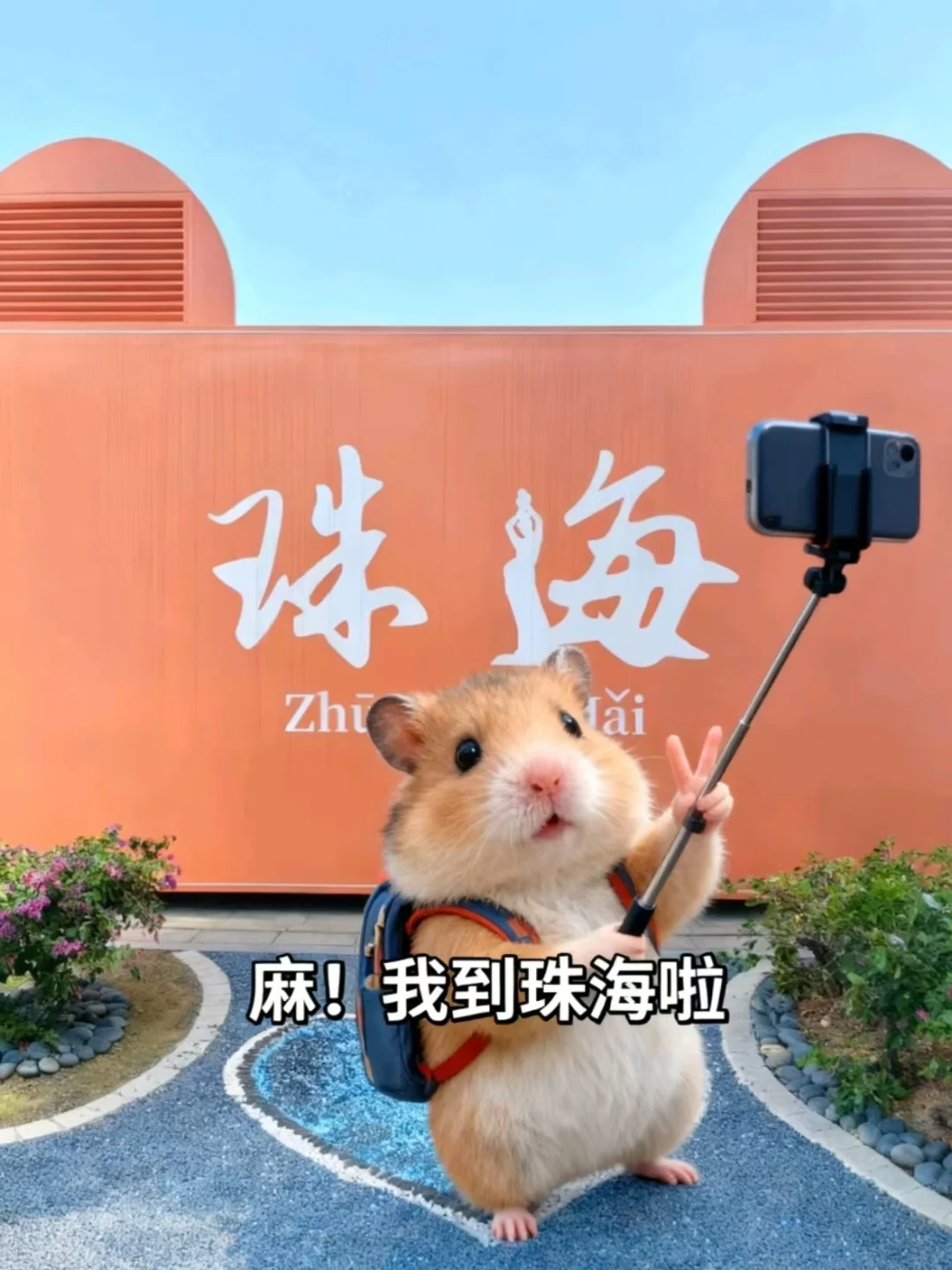 麻！当你看到这封信的时候...