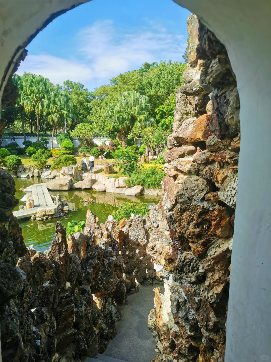 📍鼓浪屿的浪漫，花与海各占一半