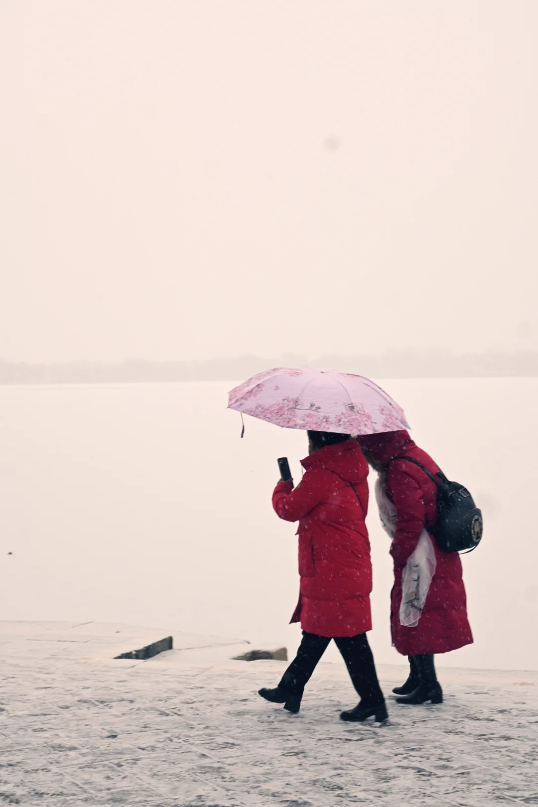 古法过冬丨上下一白