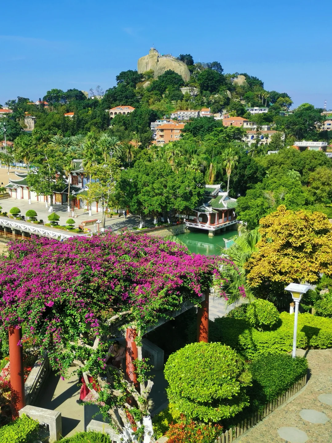 📍鼓浪屿的浪漫，花与海各占一半
