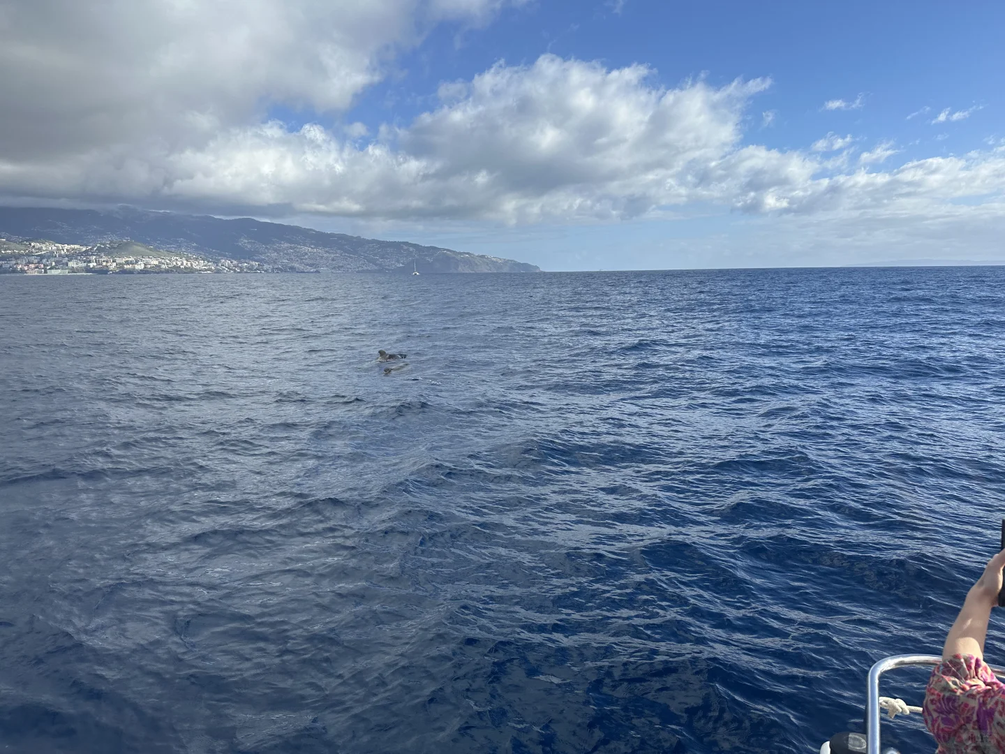 马德拉圣诞旅游攻略Day1