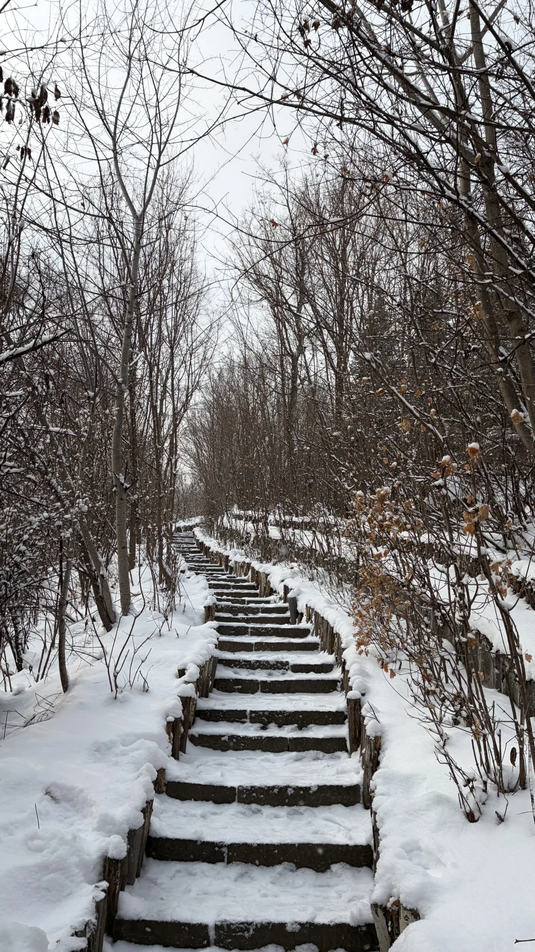 下个冬天，东北见！❄️❄️