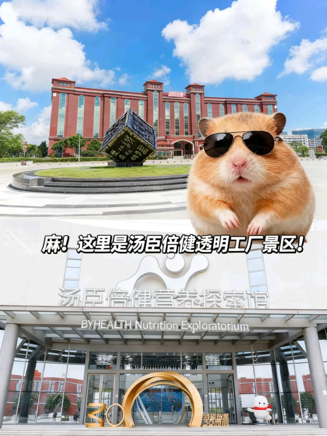 麻！当你看到这封信的时候...