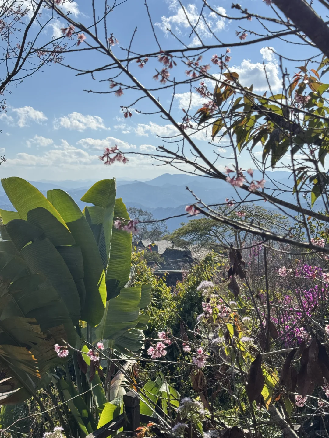 最值得去的小众旅游地: 景迈山，早去早享受