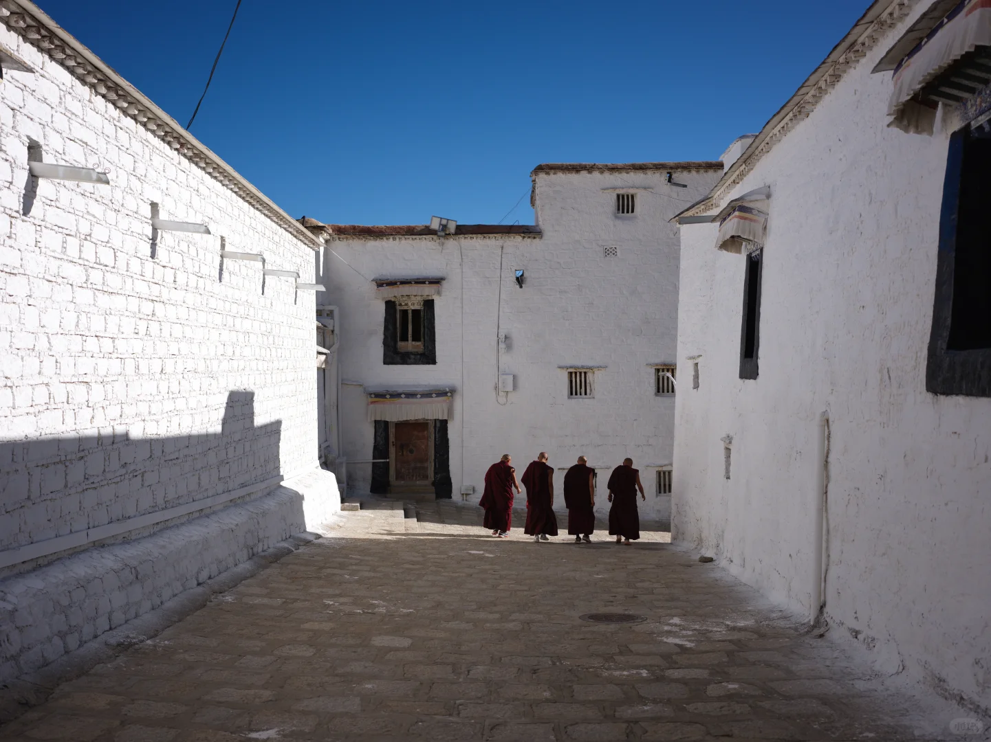 我在西藏拍到的人…