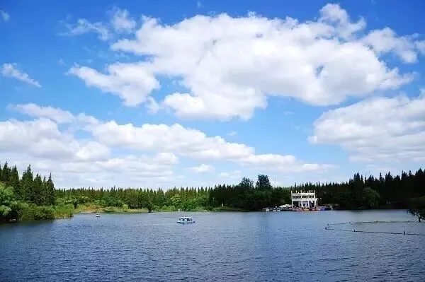 上海崇明最全十一旅游攻略!最后那个太赞了!