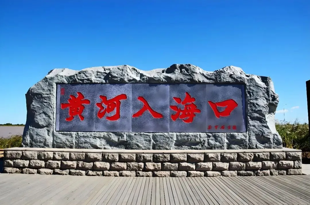 山东东营十大旅游景点,黄河入海处的宝藏等你发现