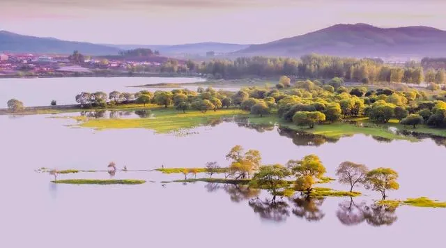 大量马来西亚游客涌入广东梅州,打着旅游幌子不逛客天下不吃盐焗鸡,为什么