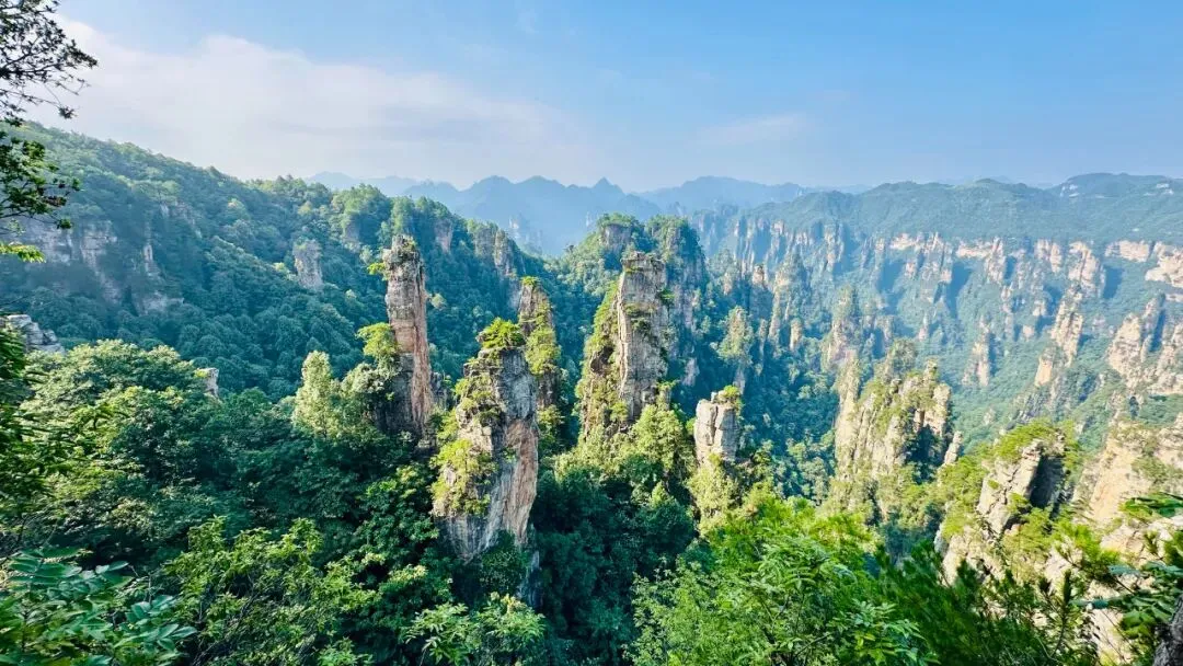 张家界自由行全攻略 必玩景点+门票价格+行程安排+特色美食+注意事项全攻略 张家界十佳导游玲玲教你畅玩湖南美景