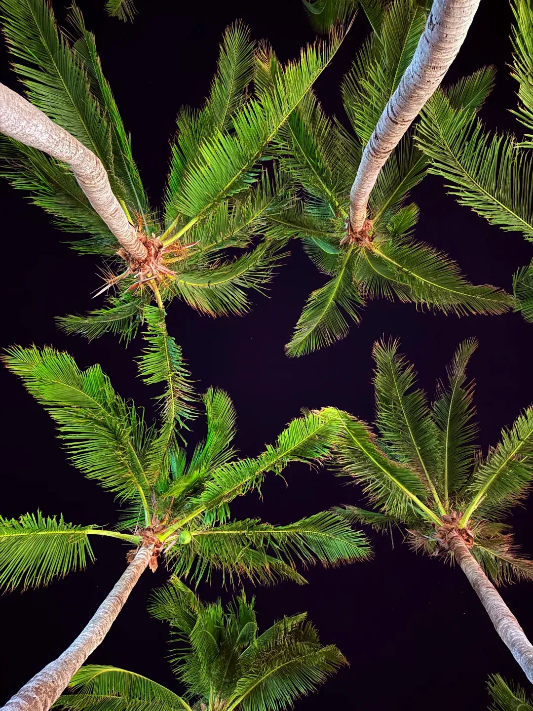 揭秘三亚高端旅游定制:不止于必去景点,更囊括非遗文化、顶级水疗与米其林级美食探索