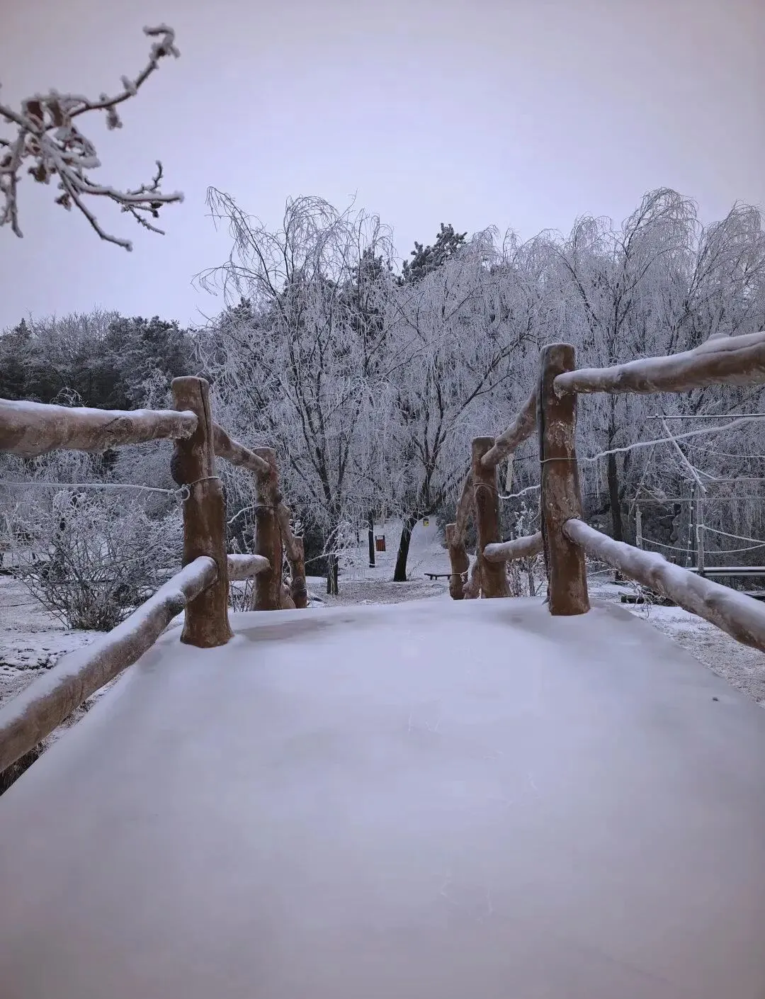 人潮涌动,网红景点,咸阳赏雪攻略|白雪镶古城,冰瀑映秦风!