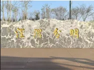 游高陵逛泾渭分明景点