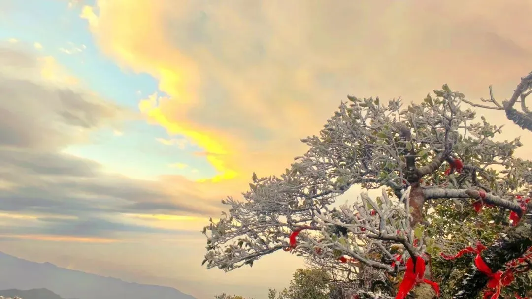 南宁大明山景区今日出现小范围冰凌雾凇景观,可自驾入园!