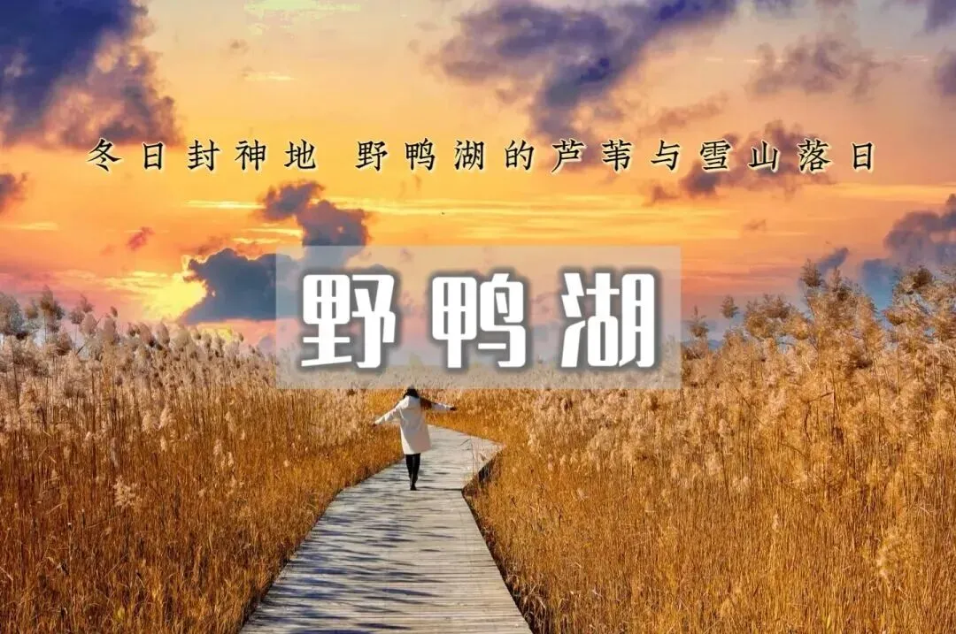 【周末景区活动】1日|《野鸭湖》|中午出发,1月10-11日六、日天天发团!