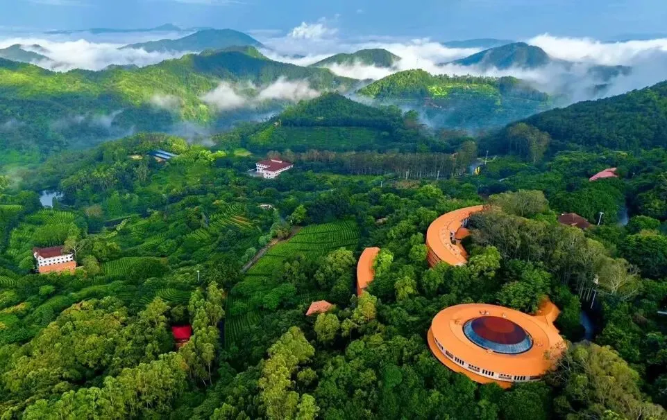 梅州旅游景点推荐排行榜前十名:一江碧水,十里梅花