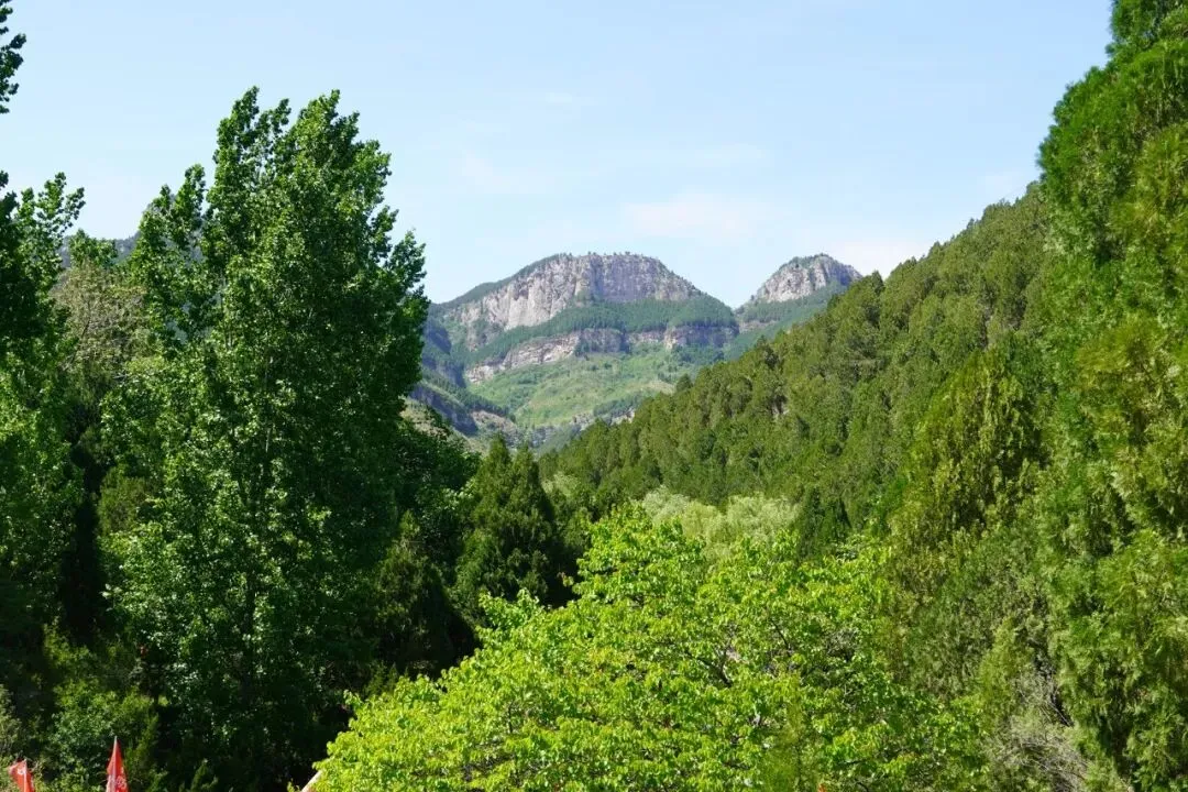 走进山东--四门塔景区、千佛崖