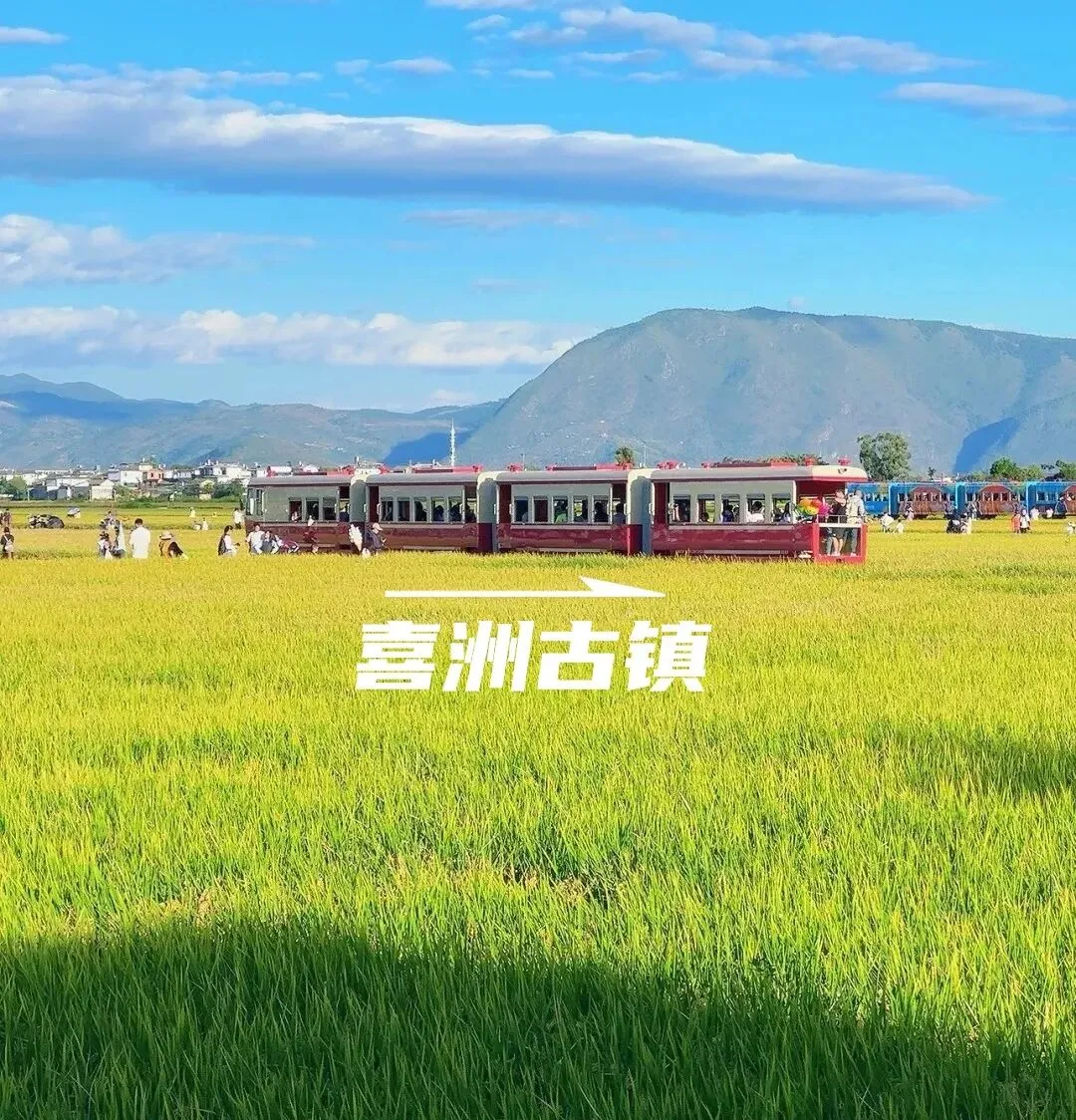 去了大理洱海5次,写下了这篇旅游攻略,完美路线跟着打卡不走回头路!!