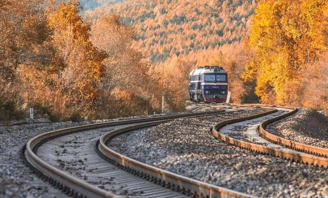 大量俄罗斯游客涌入黑龙江佳木斯,打着旅游幌子不逛三江湿地不吃炖鱼贴饼子,为什么