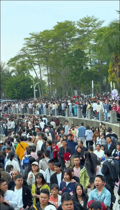 “深圳湾有一亿人!”其他景区也......