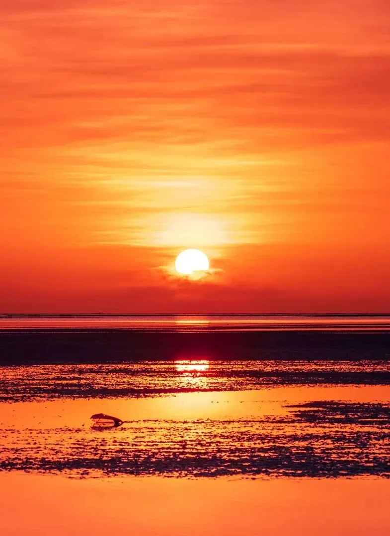 春节2晚¥499,限量免费升级房型!景点环绕近商圈!还有连吃带住年夜饭火爆上线!