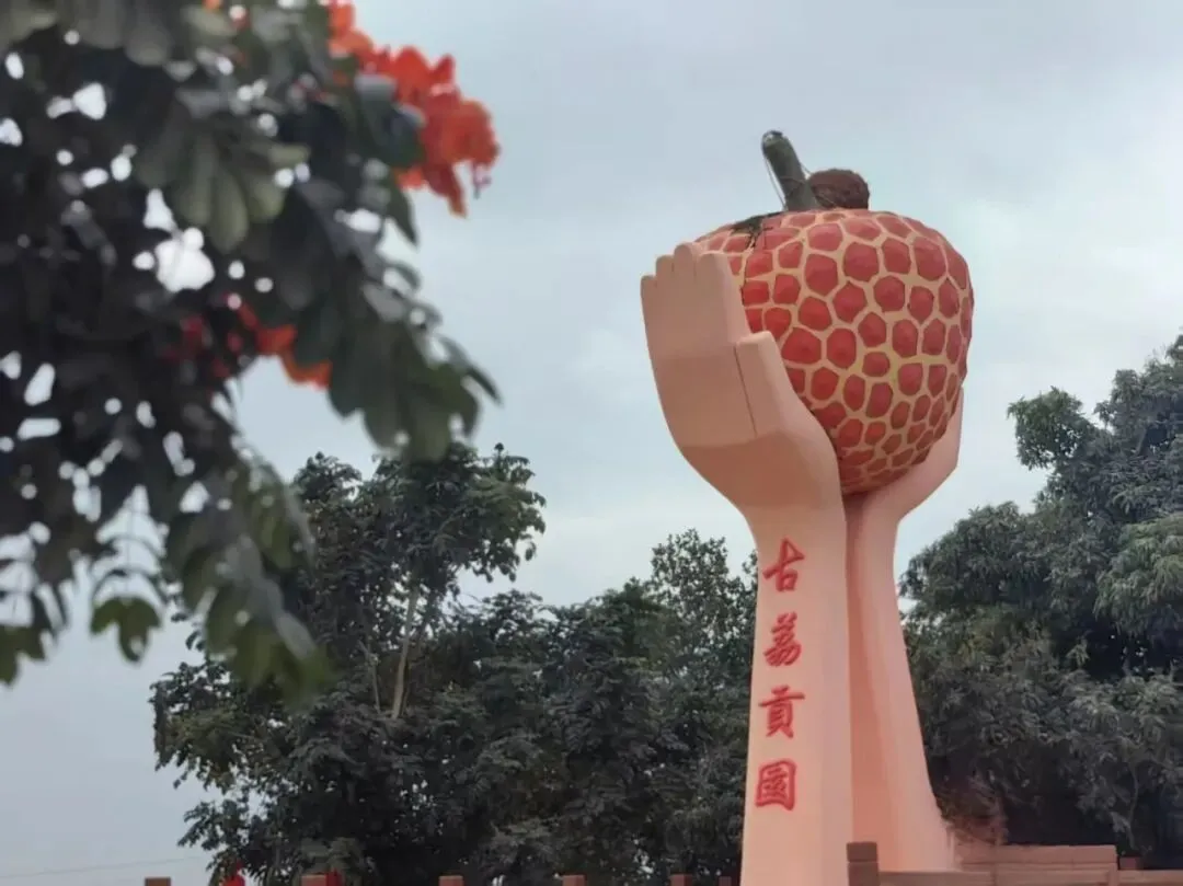 区文旅康养产业工作专班与区旅游协会领导到霞洞古荔贡园开展调研工作