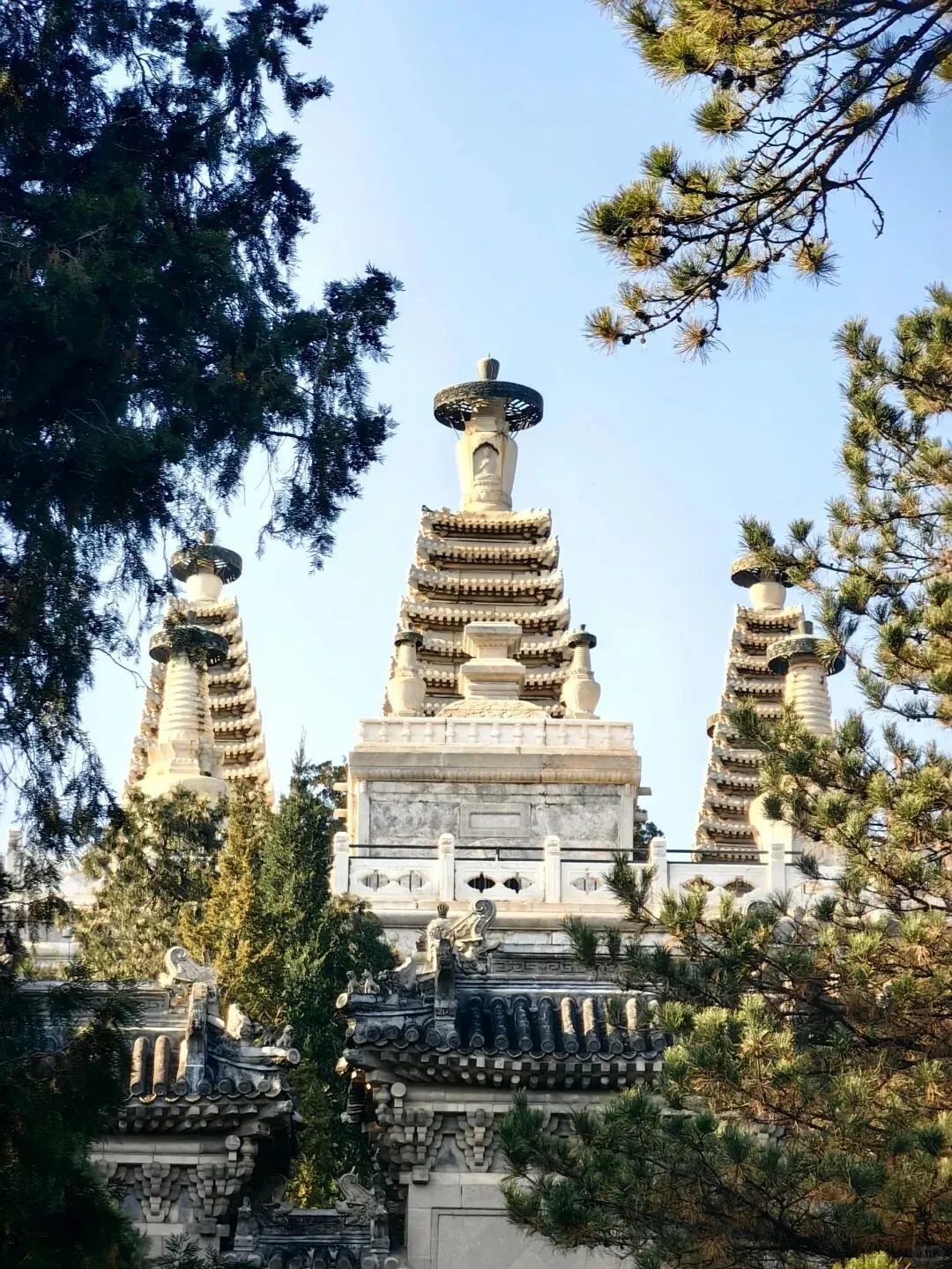 最新消息!北京5A级景区有望+1!