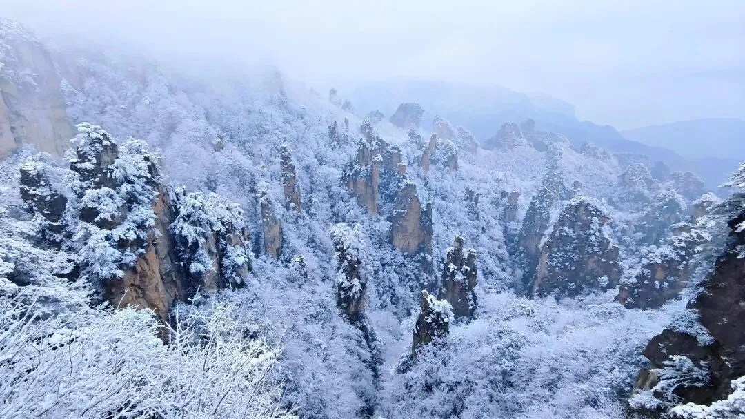 寒假张家界旅游全攻略 张家界必玩景点+行程规划+避坑指南 玲玲导游品质推荐
