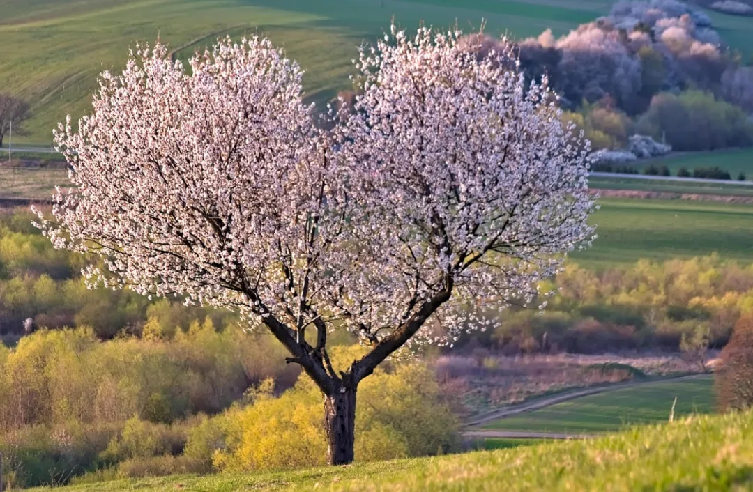 退休后才看清的真相:大多数老人不旅游,满世界跑的其实是这3种人