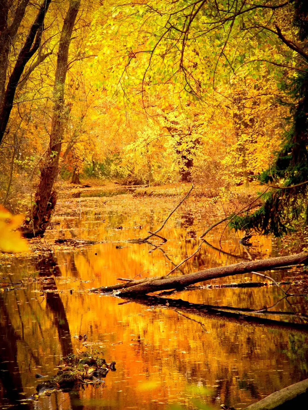 2026年“马到成功”全国生肖属马免票景区汇总指南,先收藏