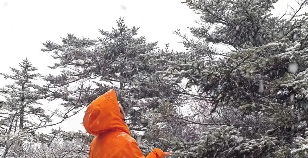 好消息!!!太白山景区1月10日开放至拜仙台,趁周末去爬山~