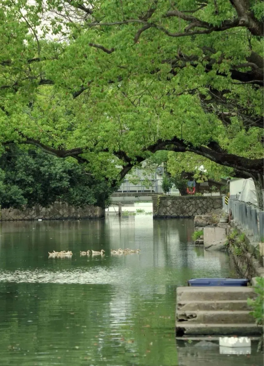 中国十大旅游类目,第七个绝美!