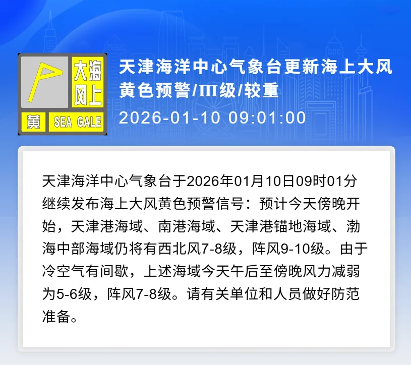 降温+大风双预警!东疆亲海景区紧急提示,冬日观鸥追光注意安全和保暖~