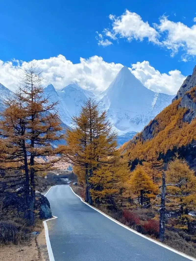 大量日本游客涌入四川稻城亚丁,打着旅游幌子不逛仙乃日不吃藏香猪,为什么?