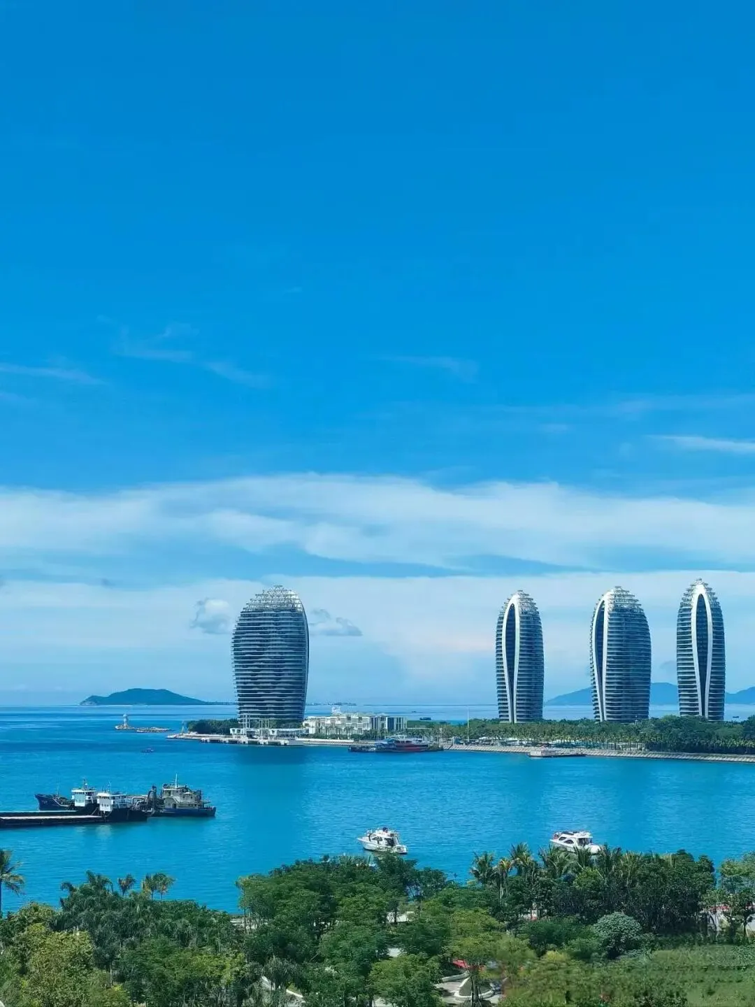 大量日本游客涌入三亚,打着旅游幌子不逛亚龙湾不吃椰子鸡,为什么?