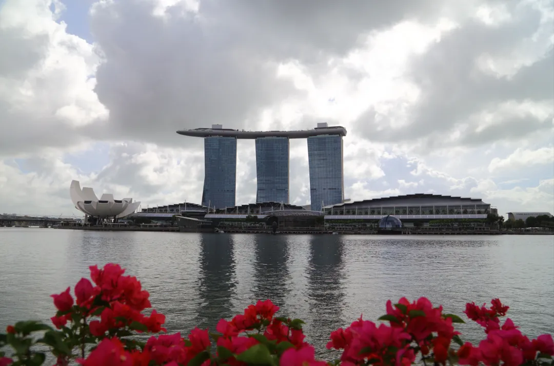 新加坡完全旅游指南,签证、交通、住宿、景点一网打尽