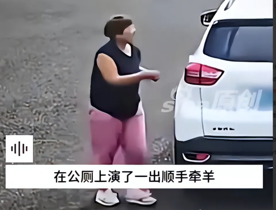 开车偷公厕垃圾桶后续:物品已归还,景区不追责,网友评论笑出泪