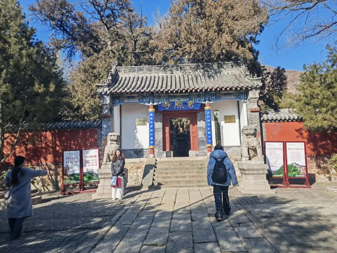 泰安:泰山普照寺内有一个景点,茂林修竹,疏朗婆娑,是游客最爱的地方之一,但它却让人倍感无奈