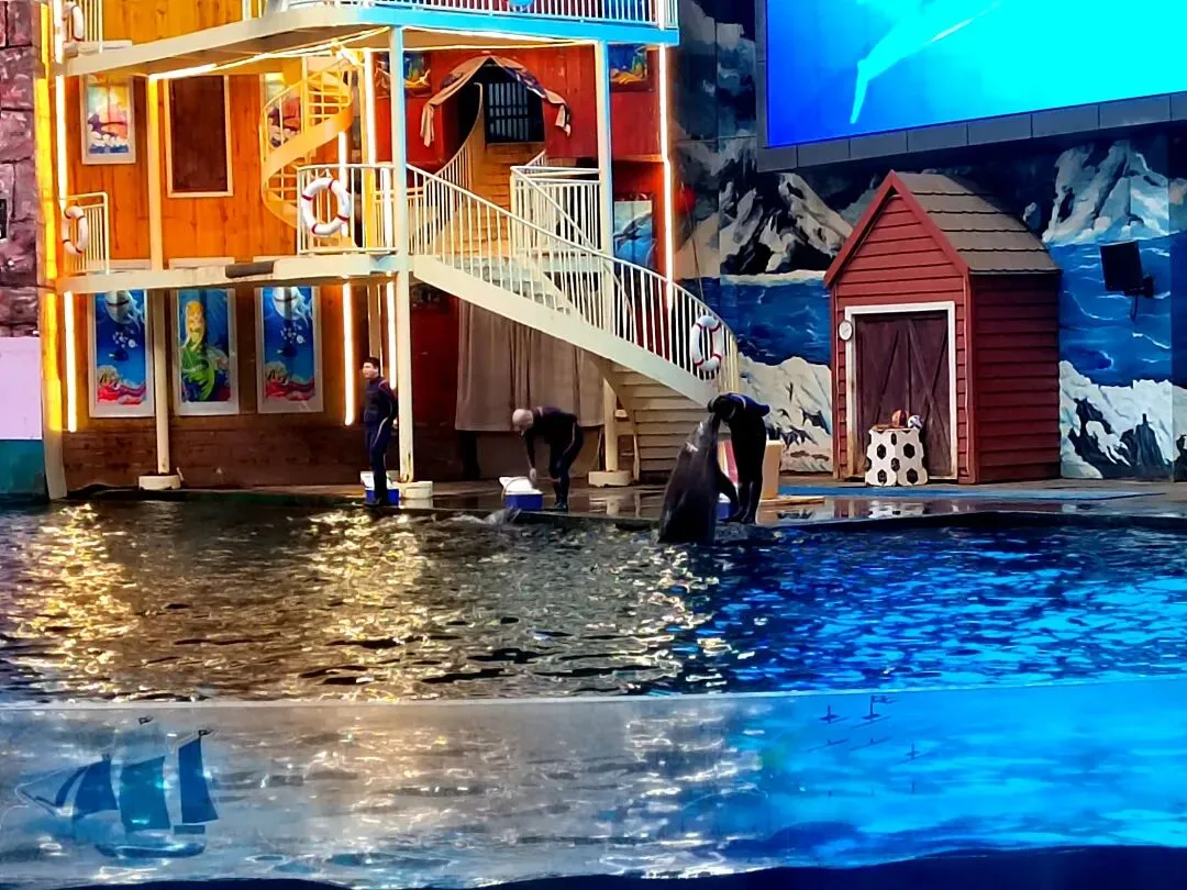 西安这个4A级景点,门票上百了,65岁以上老人免门票.这是儿童的乐园,老人来此,让你返老还童