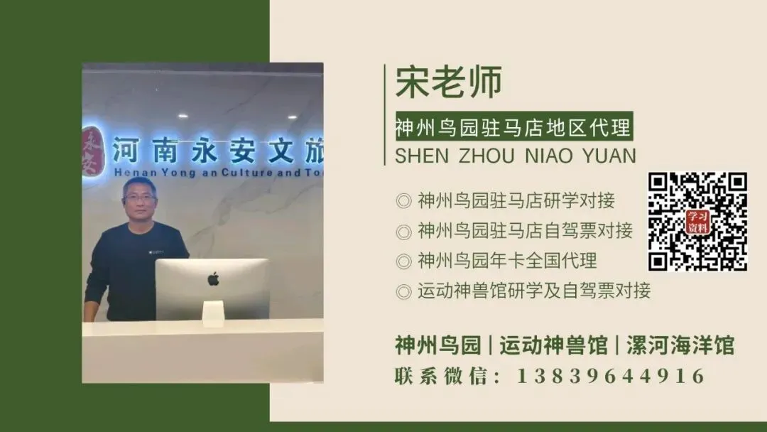 神州鸟园研学驻马店地区景区指定联络处,享公司专项研学活动补贴