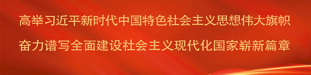 从带货到带全村老人旅游,一位村支书这五年