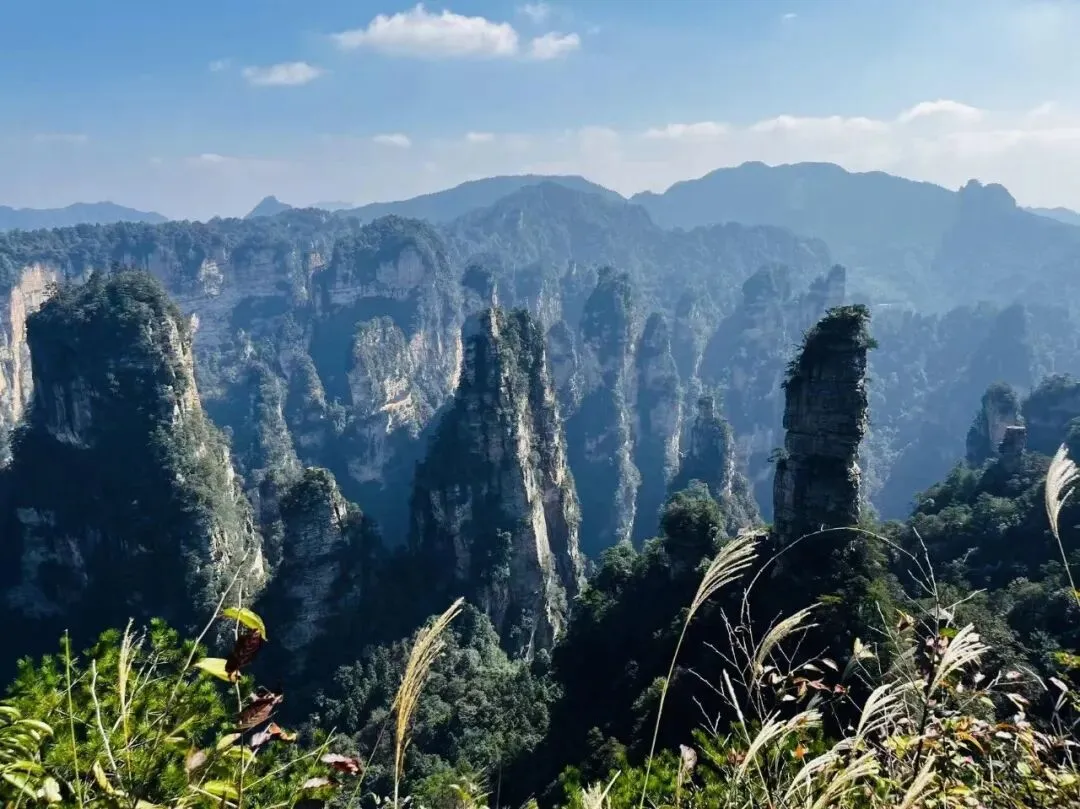 2026张家界旅游全攻略 张家界三大必玩景点+避坑指南+省钱秘籍+注意事项,看完秒变行家!