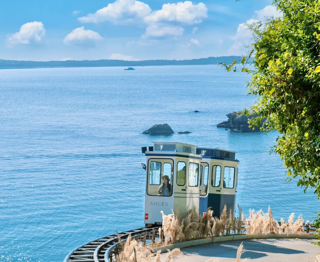 大量韩国游客涌入深圳,打着旅游幌子不逛世界之窗不吃沙井生蚝,为什么