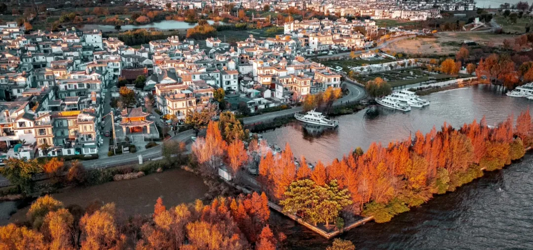 大量日本游客涌入大理,打着旅游幌子不逛洱海不吃乳扇,为什么