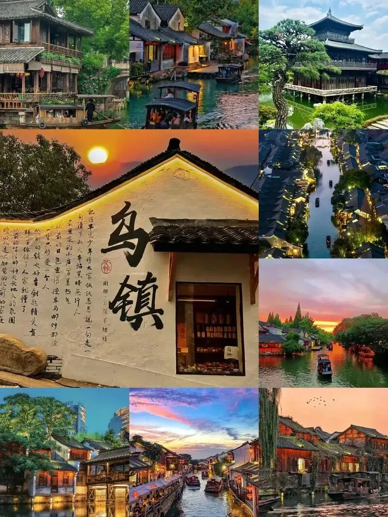 大量日本游客涌入浙江乌镇,打着旅游幌子不逛西栅不吃杭白菊酥糖,为什么