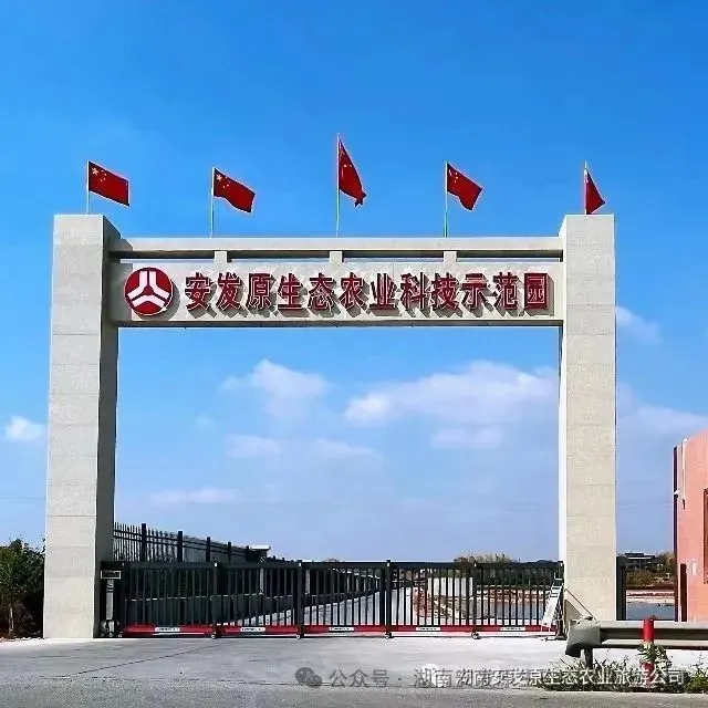 湖南安发原生态农业旅游开发公司2026年1月13日鸡蛋价格